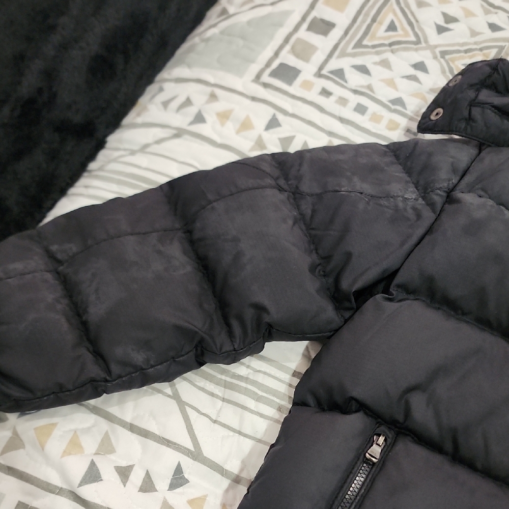 Polo by Ralph Lauren Kids Black Puffer Jacket with Red Logo - Picture 3 of 5